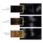 Garnier Color  Natural Hair Color NO 1 - Image 6